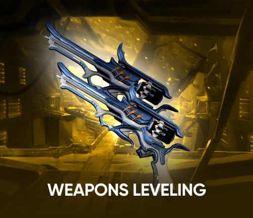 Weapons Leveling